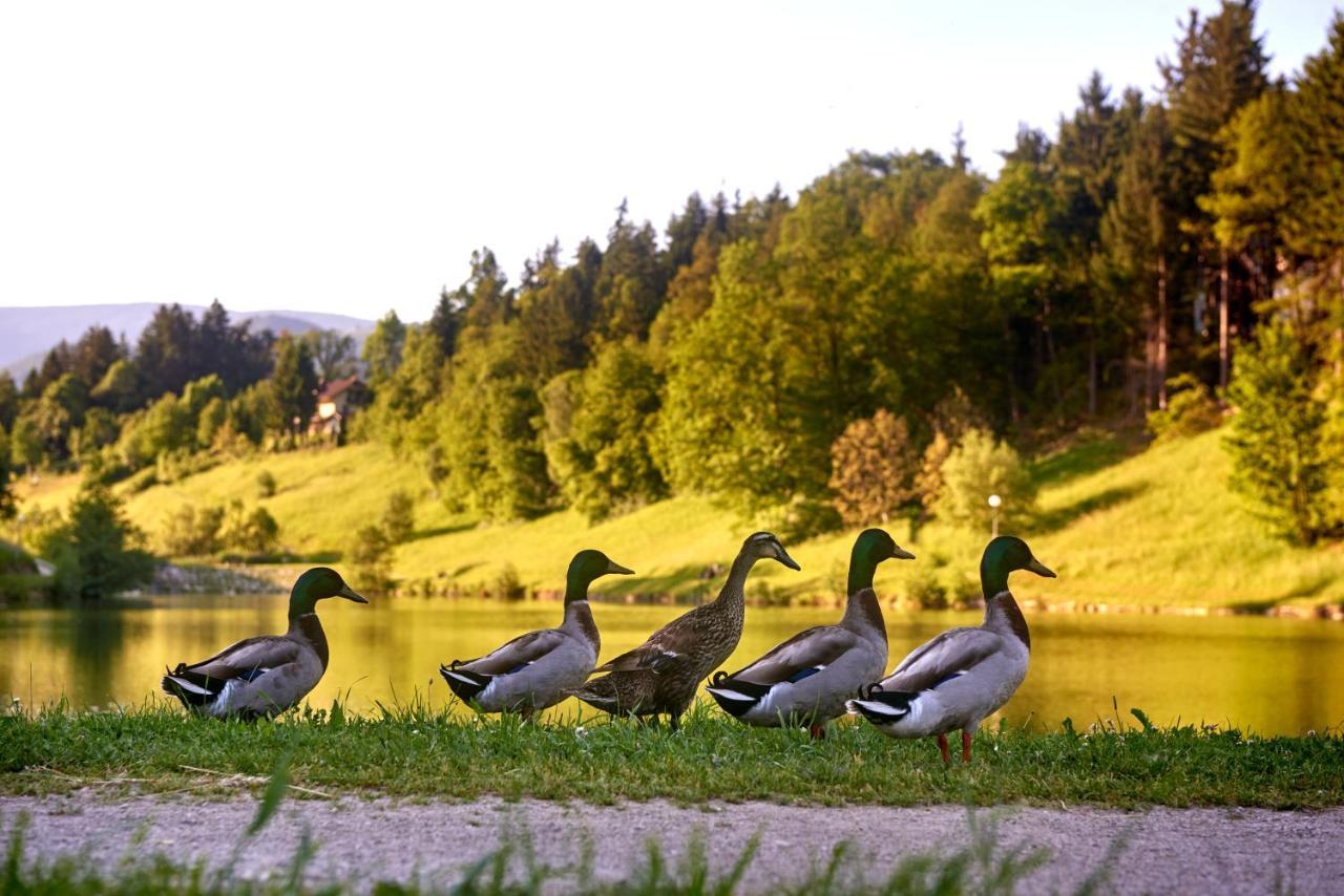 Terme Zrece - Hotel Atrij Dış mekan fotoğraf